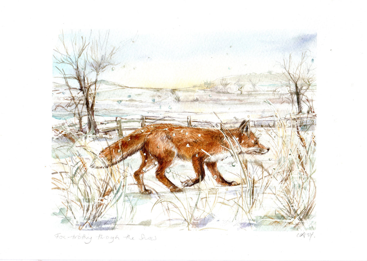 Fox-Trotting Through The Snow by Carmen Carreira