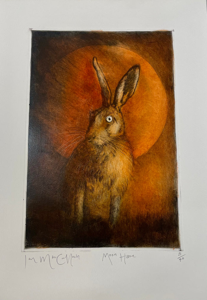 Etching print of a hare in moonlight by Ian MacCulloch