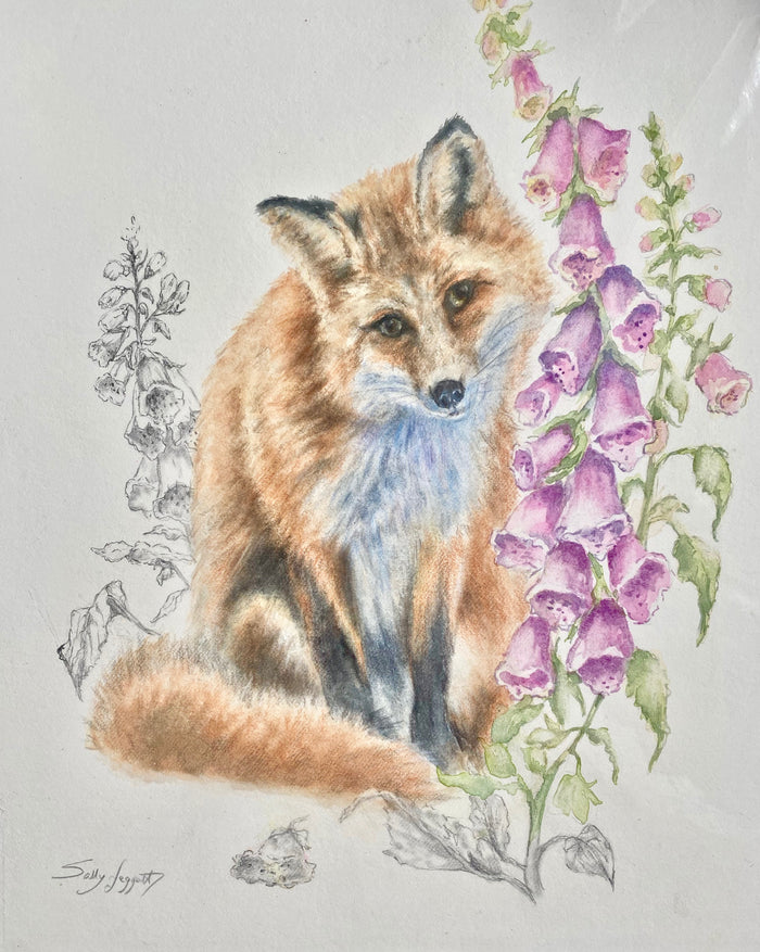 Fox and Foxgloves  by Sally Leggatt