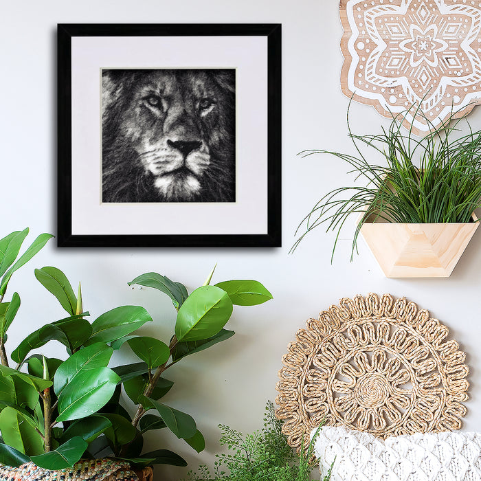 Jasiri Shujaa the Lion by Catherine Browne