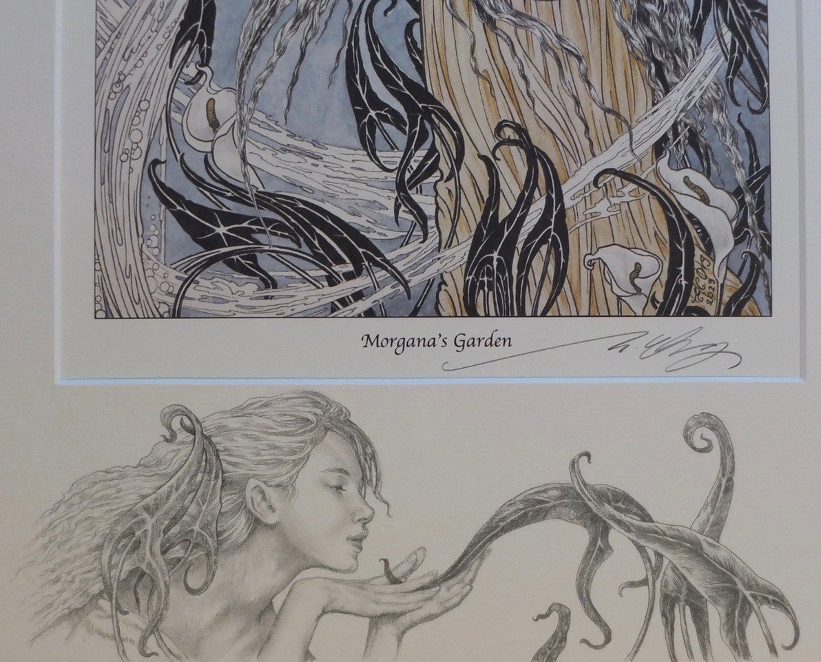 'Morgana's Garden' - print with hand-drawn detailing on mount by Ed Org