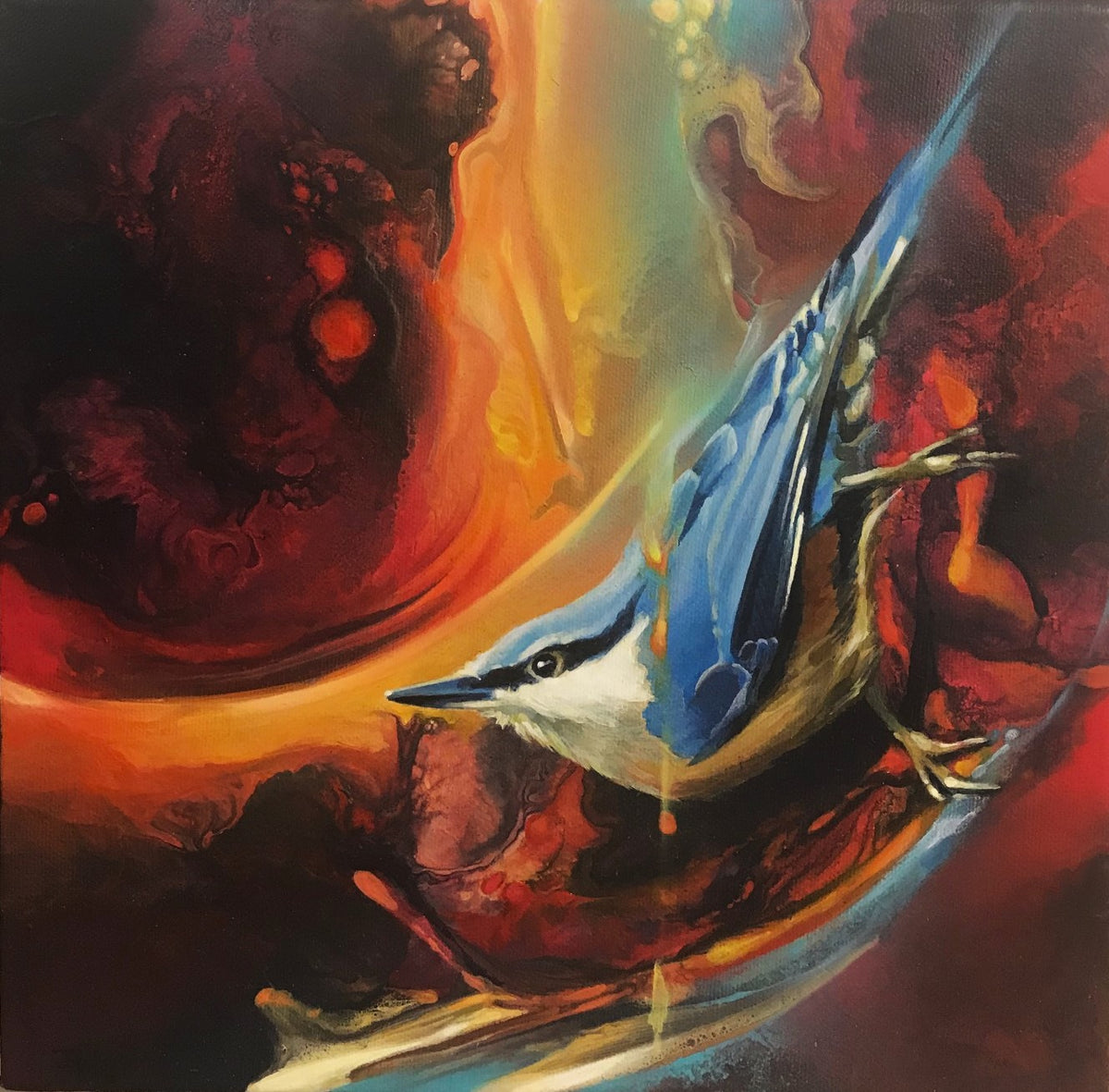 Nuthatch IV by Julien Hatswell