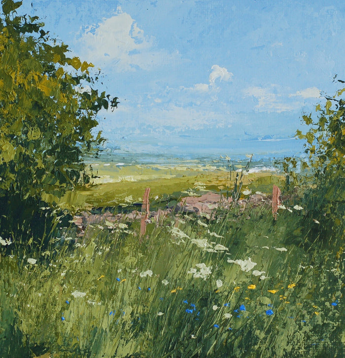 Summer Meadow - acrylic on board by Colin Carruthers