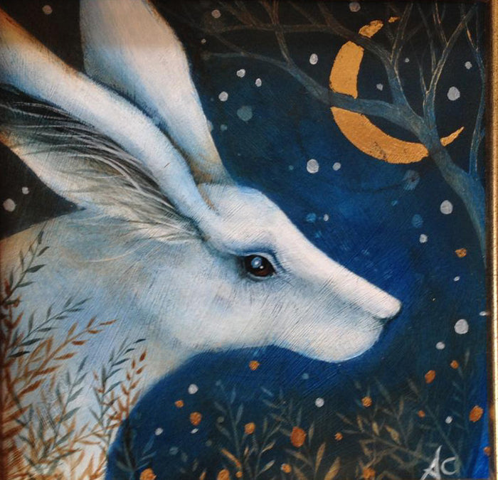 The White Hare by Amanda Clark