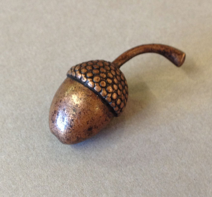 Miniature Acorn by David Meredith