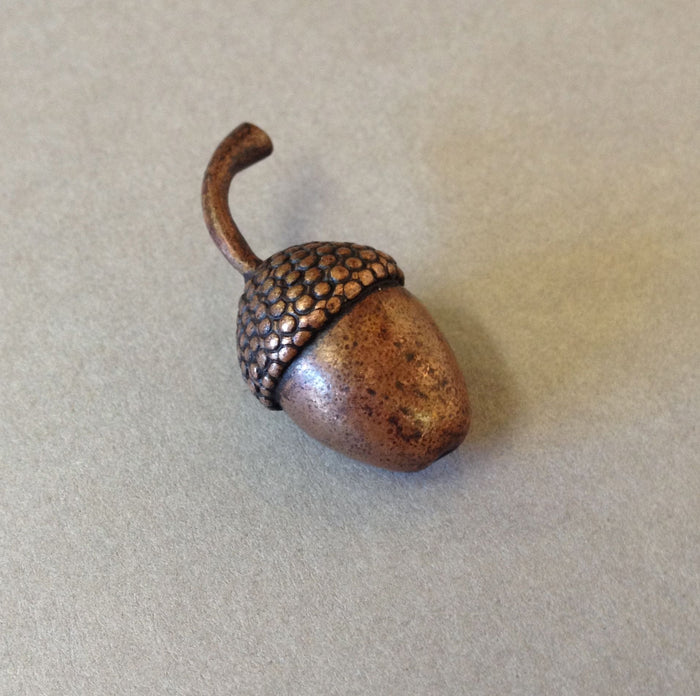 Miniature Acorn by David Meredith