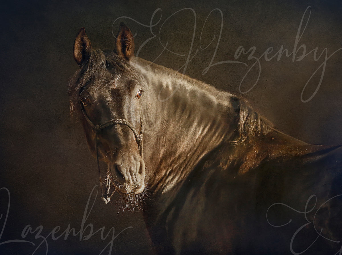 Brown Eyed Boy by EJ Lazenby