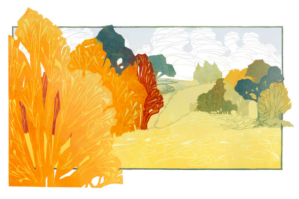 Laura Boswell - Buckingham Beeches