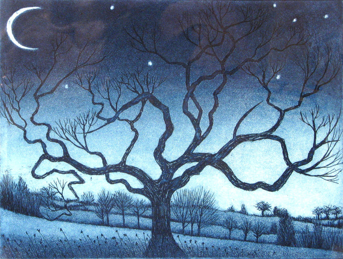 Crescent Moon, Morna Rhys