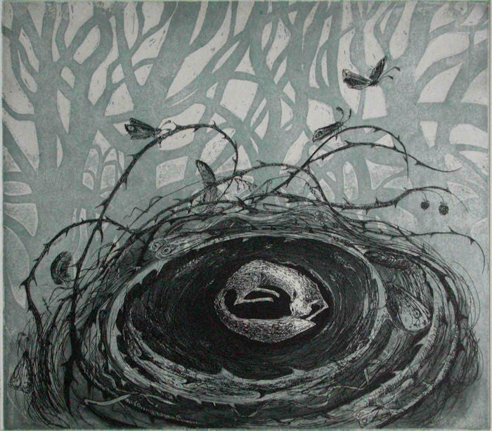 Flora McLachlan FoxNest Etching