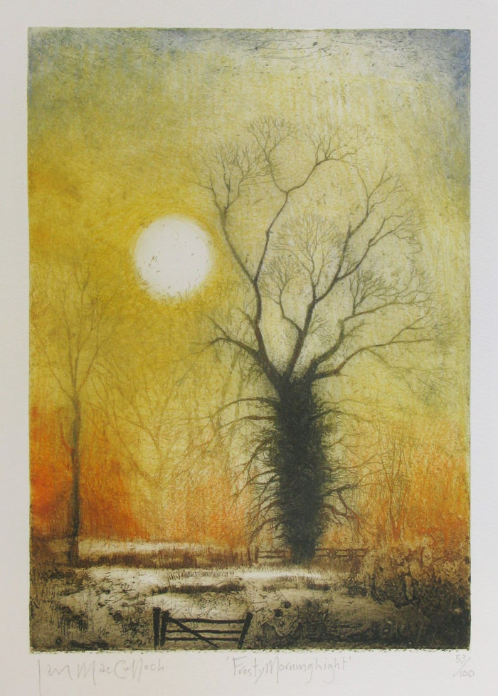 Frosty Morning Light by Ian MacCulloch
