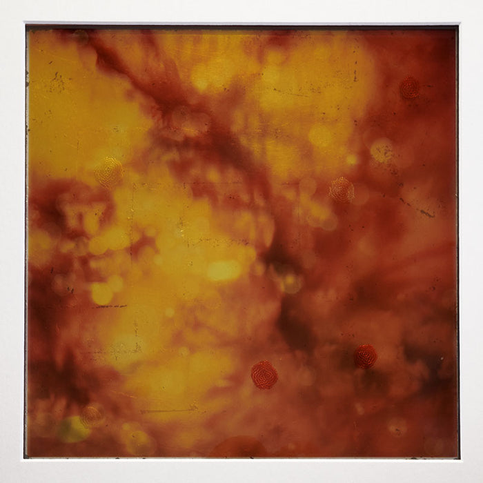 Gold and Crimson (from "Effervescence" Project)
