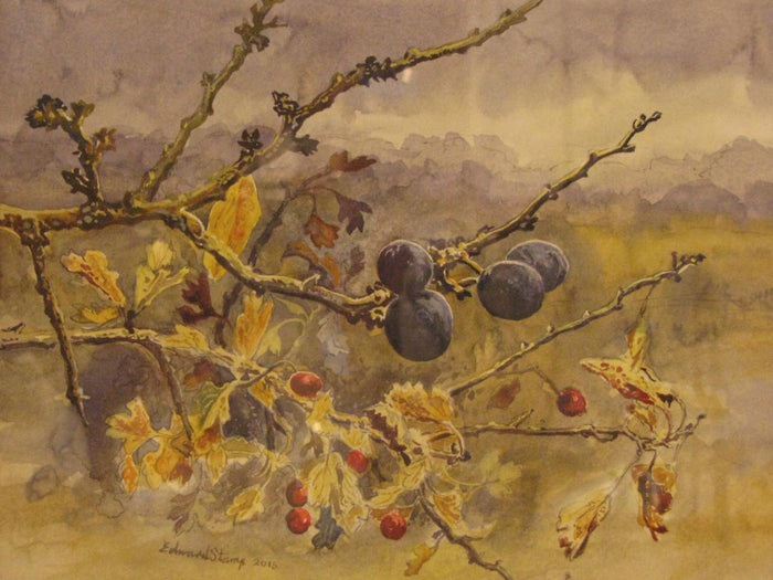 Sloes, Late Summer by Edward Stamp RI