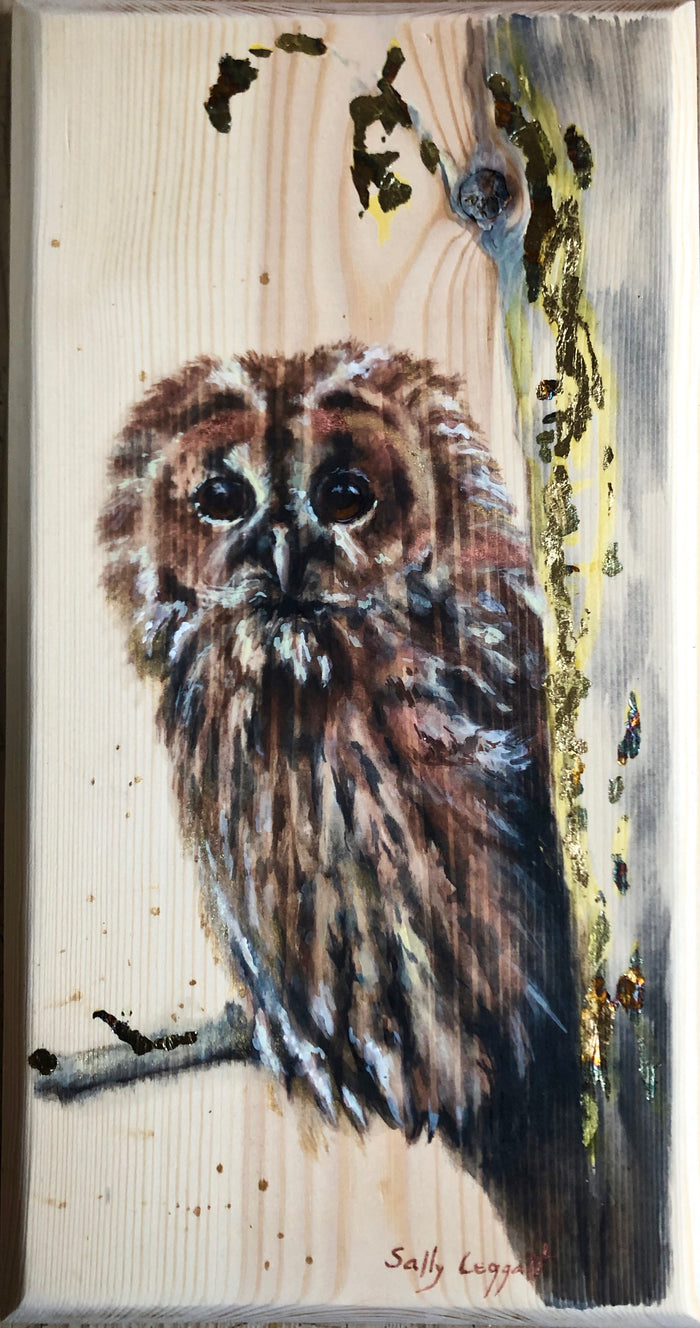 Tawny Owl by Sally Leggatt