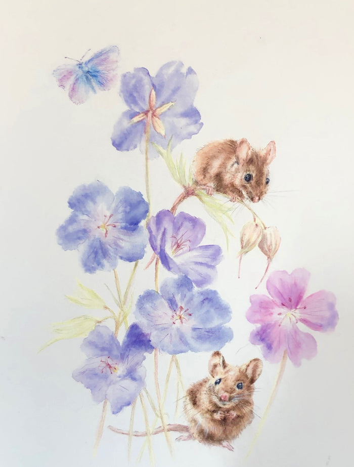 Wood Mice on Blue Cranesbill Flowers by Sally Leggatt