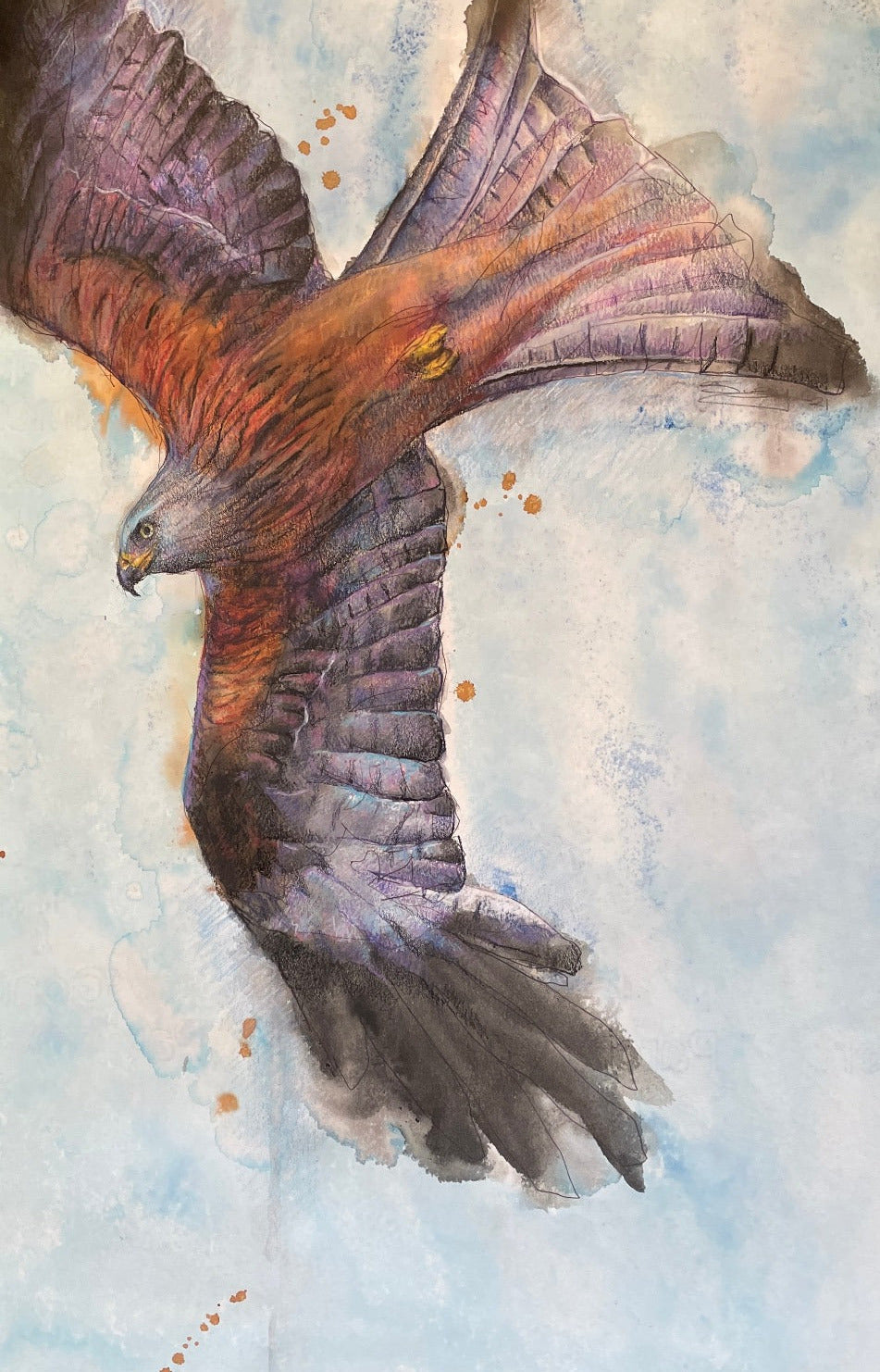 Kiteflight by Suzy Drake