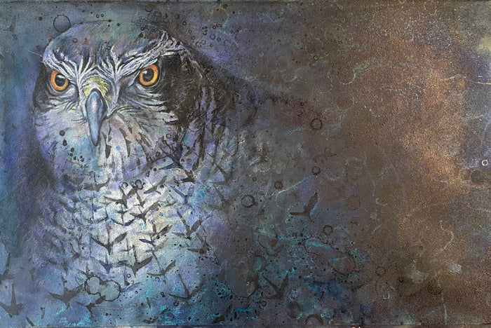 Suzy Drake Goshawk Painting