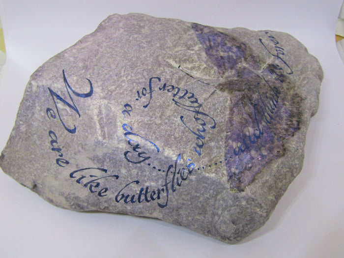 "We are like butterflies..." Hand Painted Stone