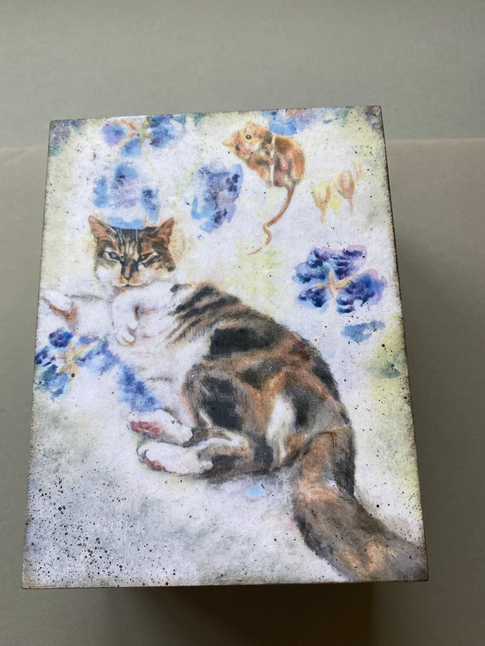 Jewellery / Trinket Drawer by Monika Maksym featuring Artwork by Sally Leggatt (MM78)