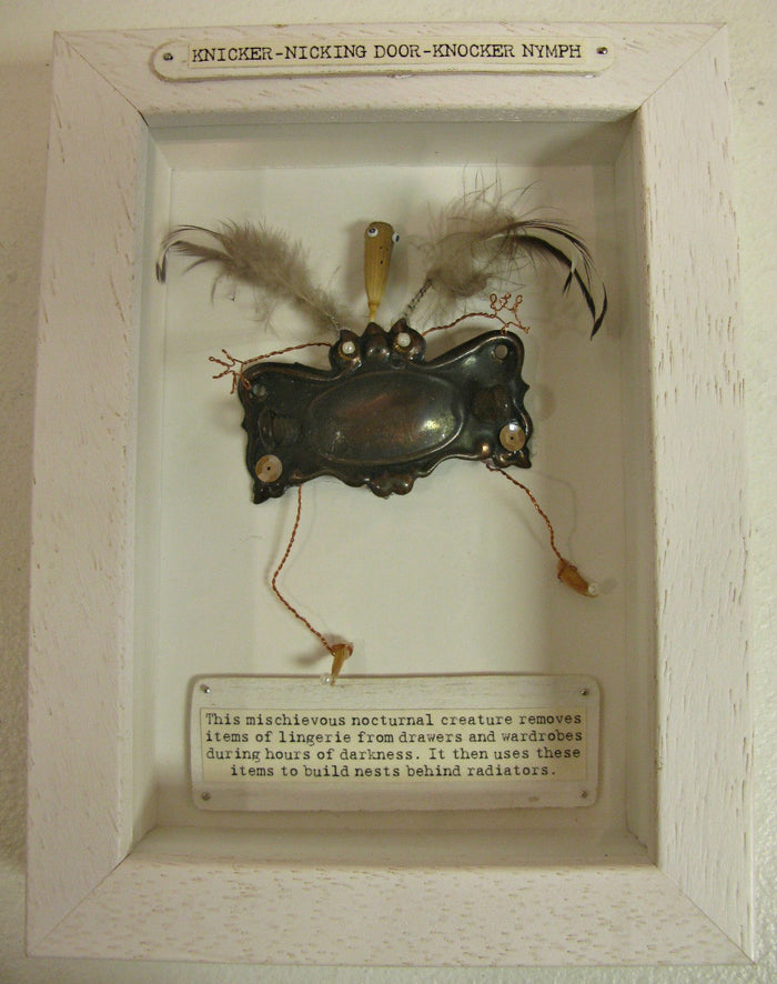 Knicker-Nicking Door-Knocker Nymph by Particle Article