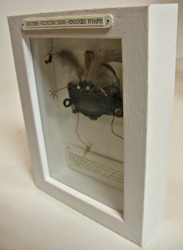 Knicker-Nicking Door-Knocker Nymph by Particle Article