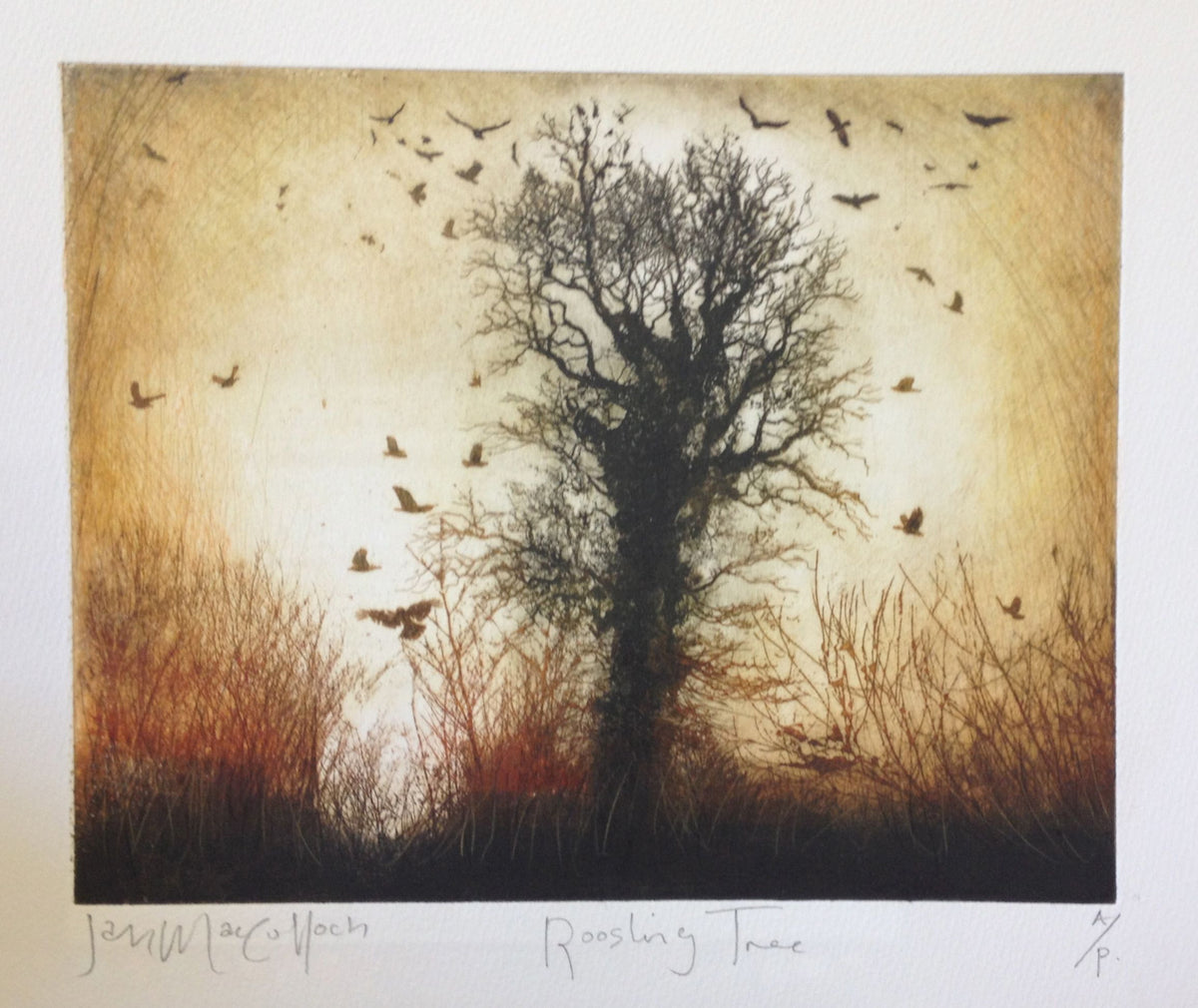 Roosting Tree by Ian MacCulloch