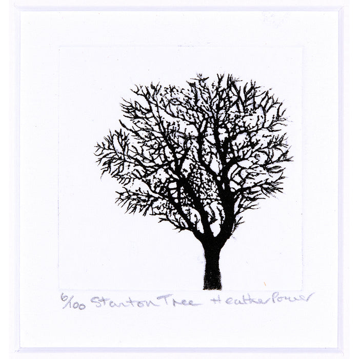 Stanton Tree Etching by Heather Power
