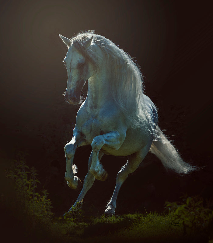 Silvered by EJ Lazenby