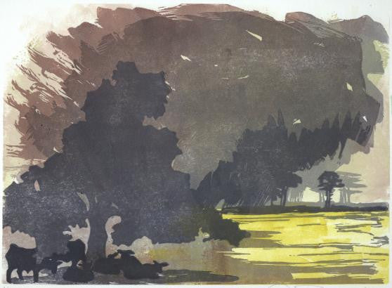 Summer Cloudburst by Laura Boswell