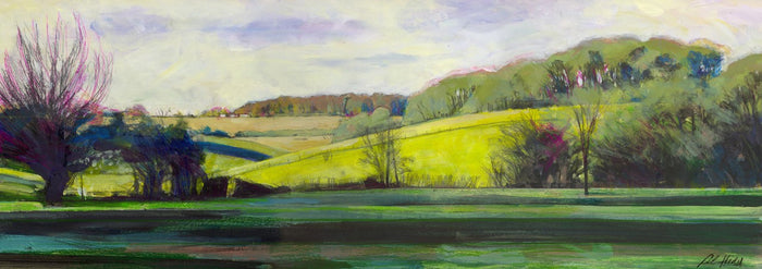 Sunny Fields by Alan Kidd