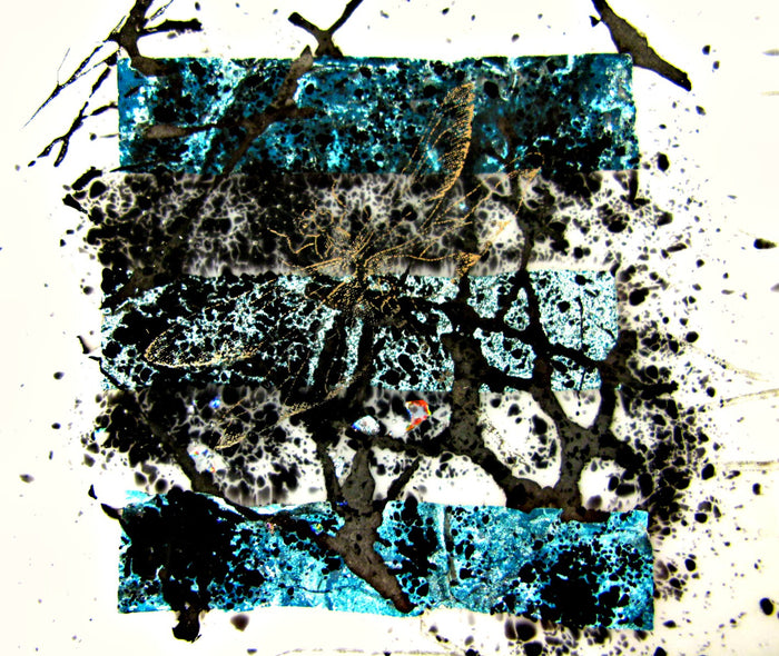 Jenny Hoole - Teal and White Dish Gold Dragonfly