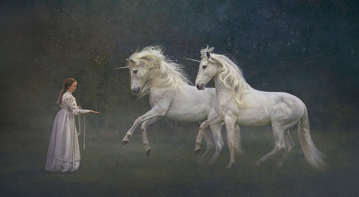 To Catch A Unicorn by EJ Lazenby