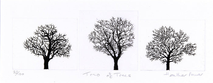 A trio of Trees by Heather Power