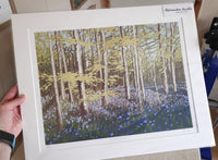 "Bluebell Arrival" Limited Edition Reduction Linocut Print by Alexandra Buckle