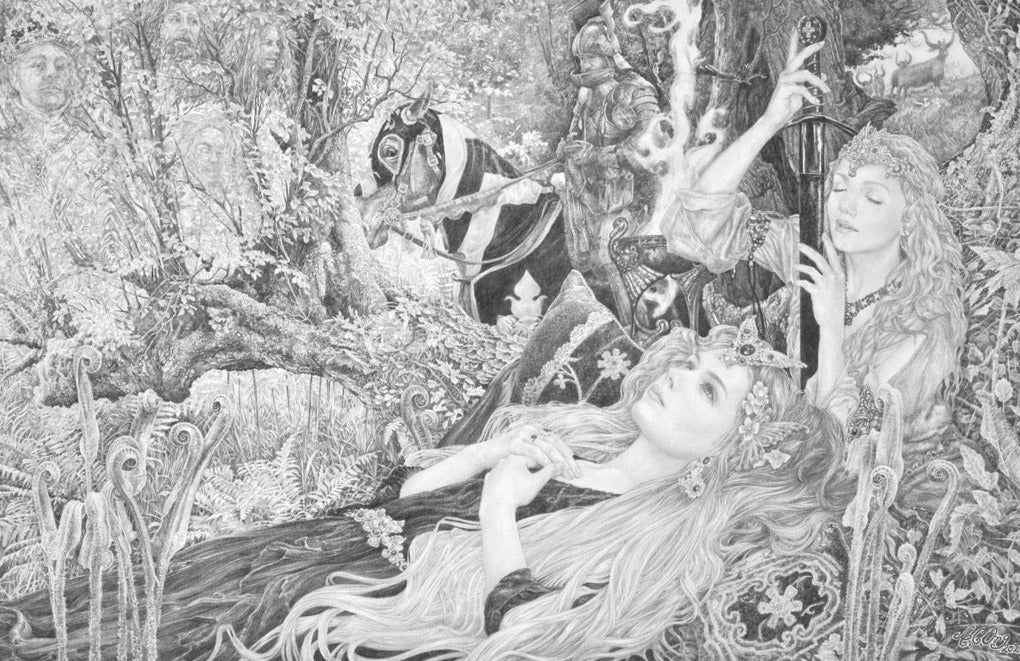 The Enchanted Wood - Limited Edition Print by Ed Org – Obsidian Art