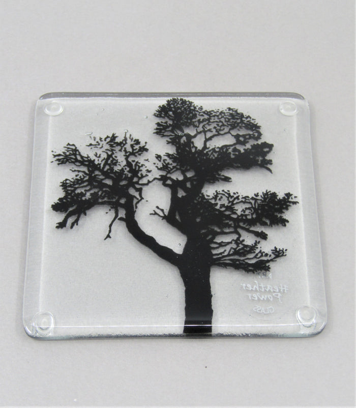 Glass Coaster by Heather Power