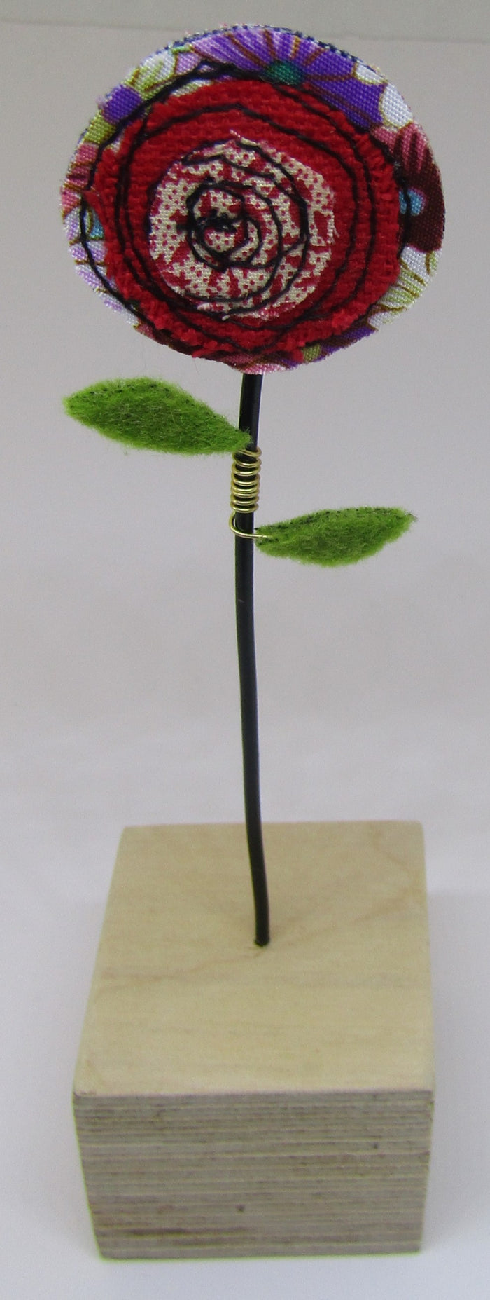 Red Single Poppy by Catherine Bell