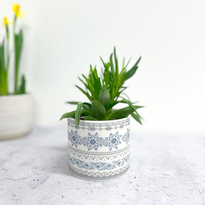 Large Safflower Tealight/planter pot