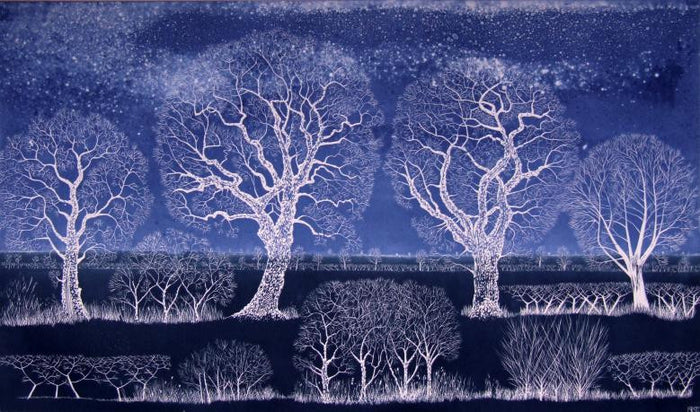 Soft Star Night by Diana Ashdown
