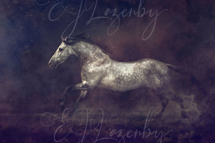Silver Brumby by EJ Lazenby