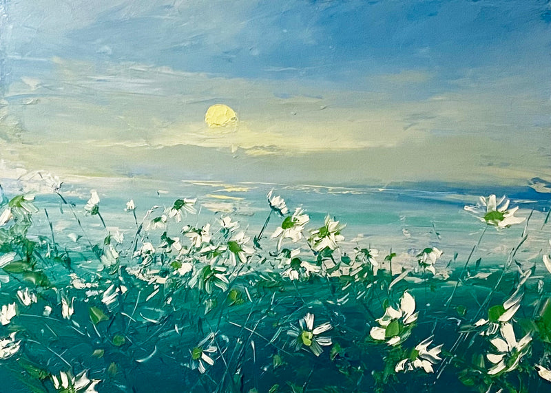 Coastal Daisies - oil on canvas by Colin Carruthers