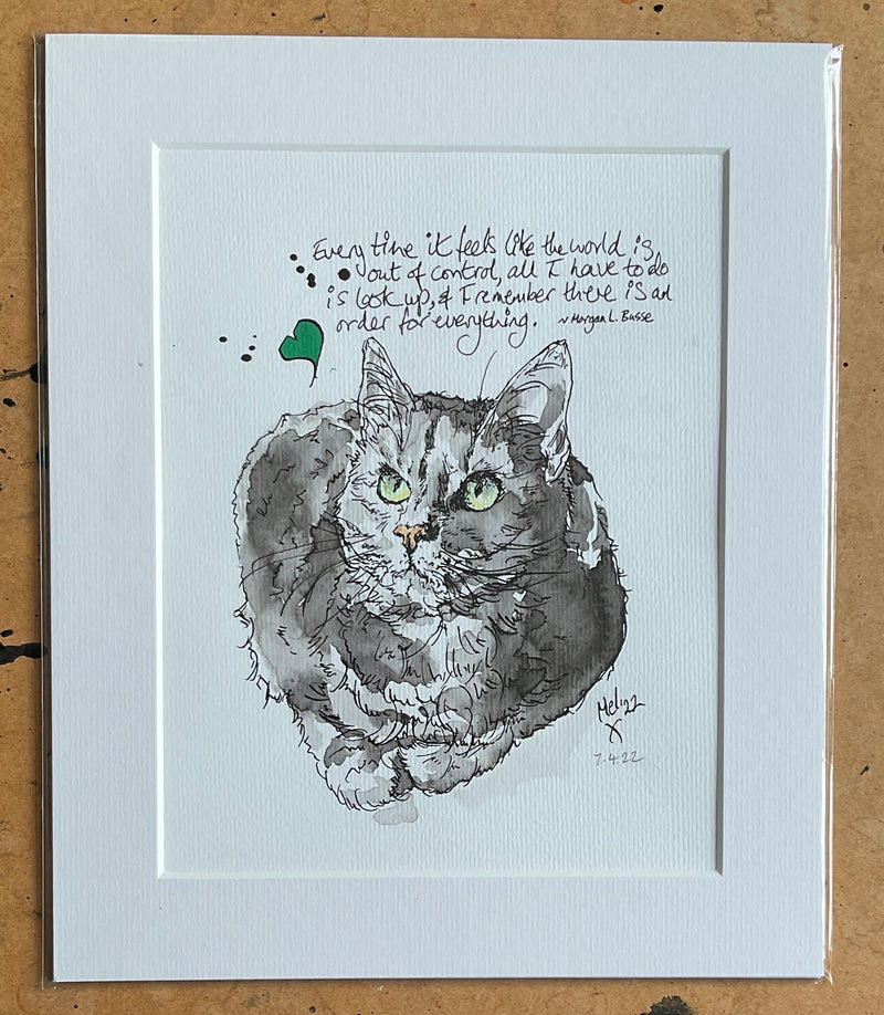 "Order" Pen & Ink Cat Drawing by Melanie Cairns.  