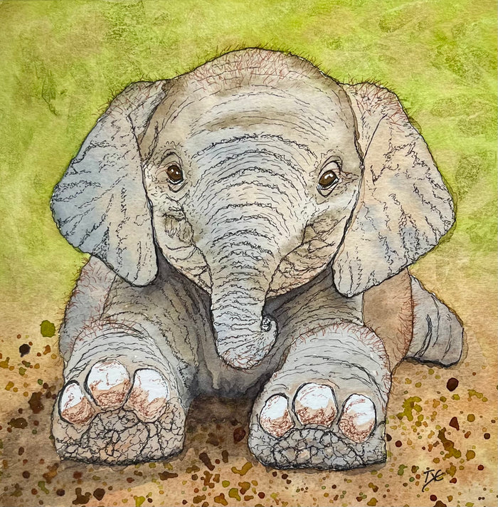 Illustration of a baby elephant on a textured green and brown background