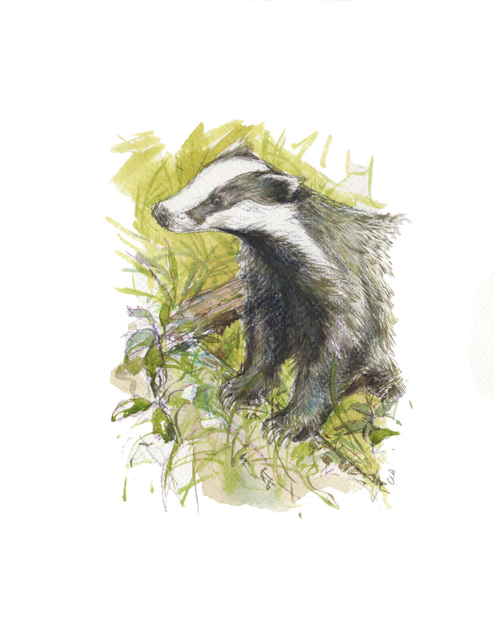 Illustration of a badger surrounded by green foliage on a white background