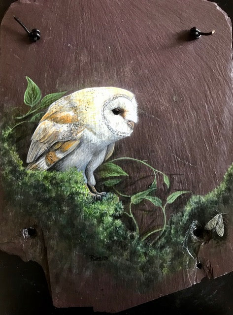 Barn Owl - Painting on Slate by Rosemary Timney