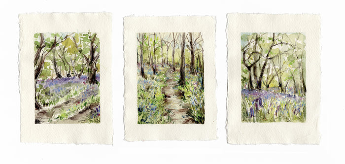 Bluebell Woods (triptych) by Carmen Carreira