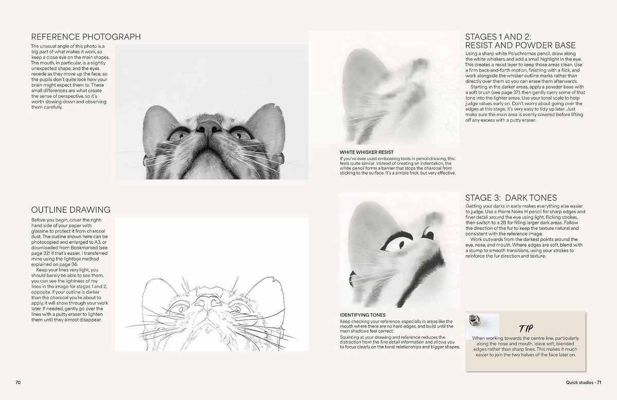 Drawing Animals in Charcoal: Create realistic animal portraits with depth, expression and texture  - book by Becky Gouverneur