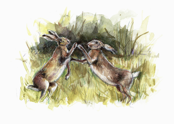 Boxing in Spring by Carmen Carreira