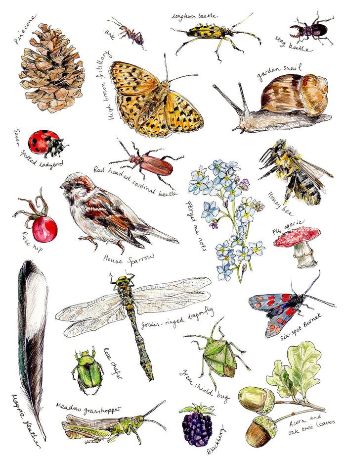 British Wildlife - digital print by Carmen Carreira