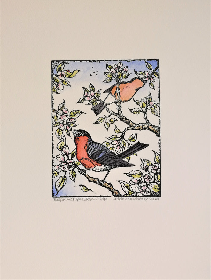 Bullfinches & Apple Blossom by Adele Scantlebury